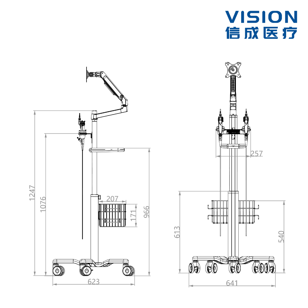Endoscopy Cart LV110